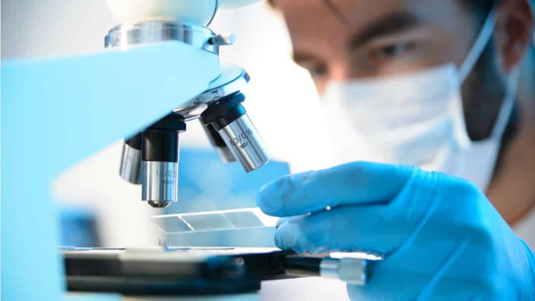 Pharma Job : Group Lead Molecular Biology R&D @ Biocon