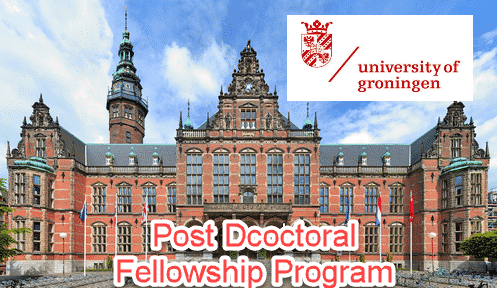 university of groningen phd chemistry