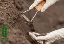 ICAR-Indian Institute of Soil Science Hiring Chemistry Candidates