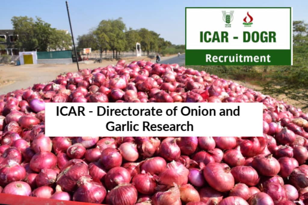 Chemistry Jobs at ICAR Directorate of Onion and Garlic Research