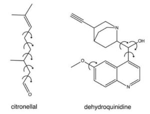  Novel algorithm for chirality determination