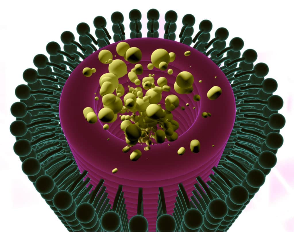 Nanopores Membrane for water purification and energy storage device