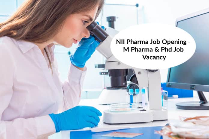 NII Pharma Job Opening - M Pharma & Phd Job Vacancy