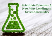 Green Chemistry by New Plant Enzyme
