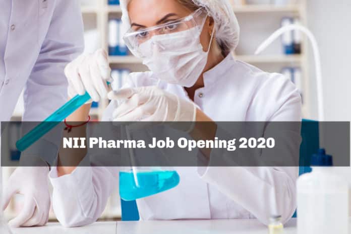 NII Pharma Job Opening 2020 - Junior Research Fellow