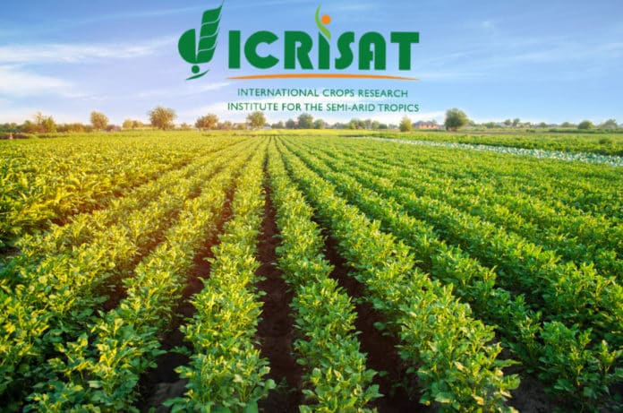 Govt Job ICRISAT Lab Assistant Vacancy - Chemistry Candidates Apply