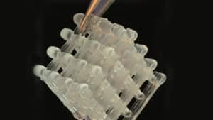 hydrogel lattice