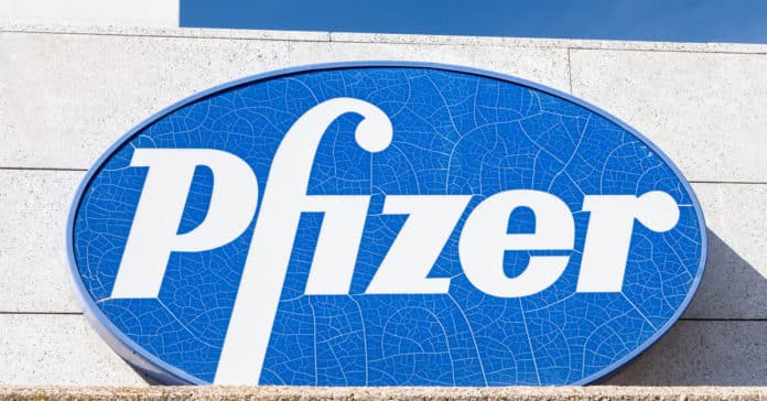 Pfizer Pharma Report Coordinator