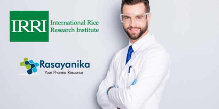 International Rice Research Institute Chemistry Associate Scientist Vacancy Salary 1.03 Lakh Per month