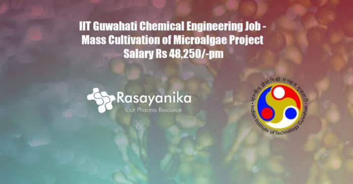 IIT Guwahati Chemical Engineering Job - Mass Cultivation of Microalgae Project Salary Rs 48,250/-pm