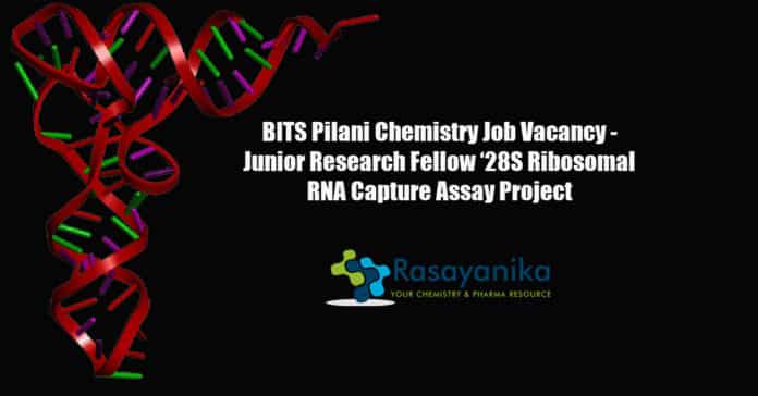 BITS Pilani Chemistry Job Vacancy - Junior Research Fellow