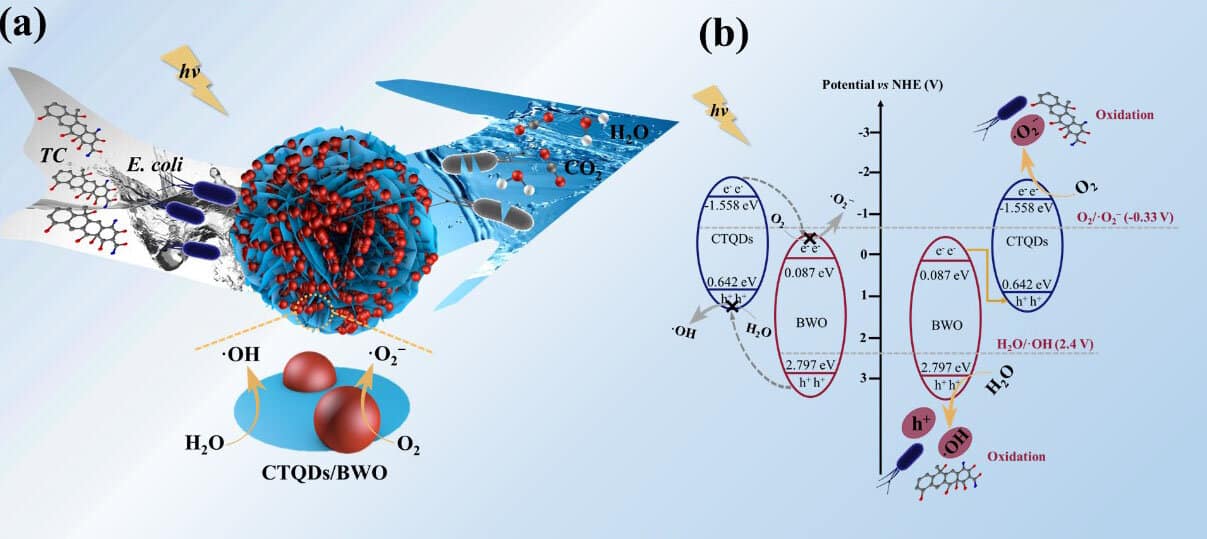 Z-scheme catalyst for impurities in water