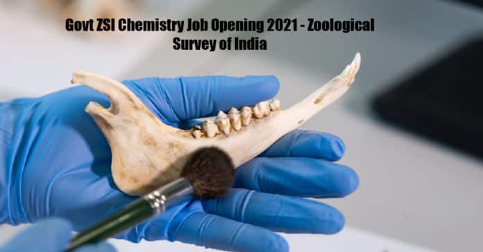 Govt ZSI Chemistry Job Opening 2021 - Zoological Survey of India