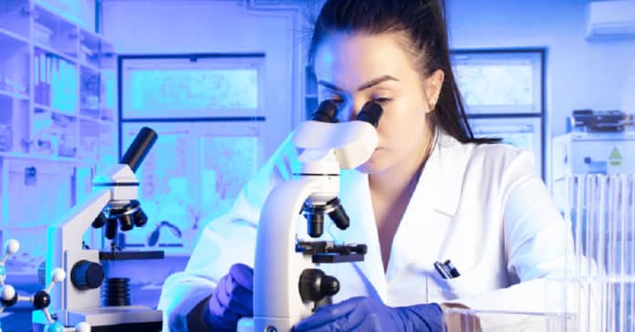 SNU Chemistry Research Fellow Recruitment 2021 - Apply Online