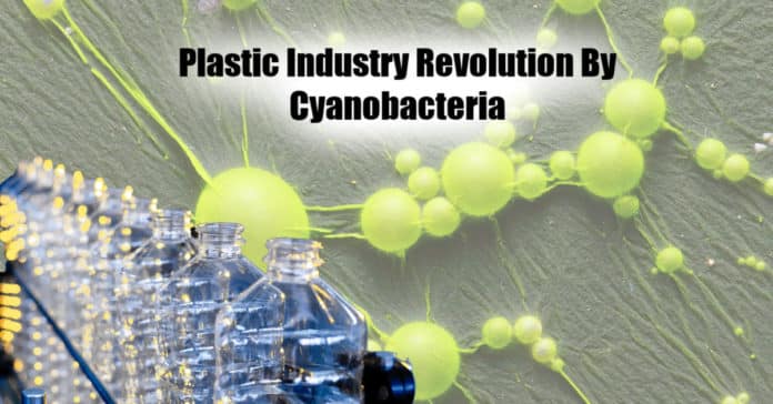 Plastic Industry Revolution