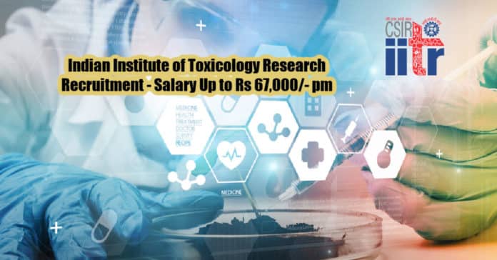 Indian Institute of Toxicology Research Recruitment - Salary Up to Rs 67,000/- pm