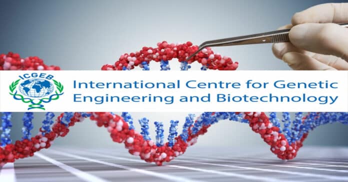 ICGEB Pharma Research Fellow Recruitment - Applications Invited