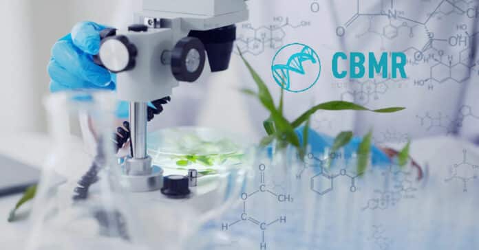 Govt CBMR RA & SRF Vacancy - PhD Chemistry Candidates Apply