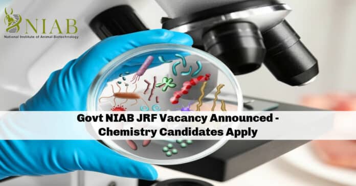 Govt NIAB JRF Vacancy Announced - Chemistry Candidates Apply