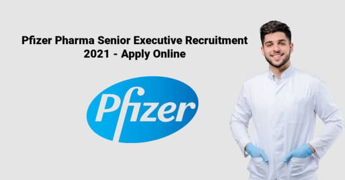 Pfizer Pharma Senior Executive Recruitment 2021 - Apply Online