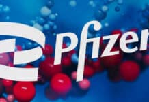 Pfizer Regulatory Affairs Recruitment - Assistant Manager Post