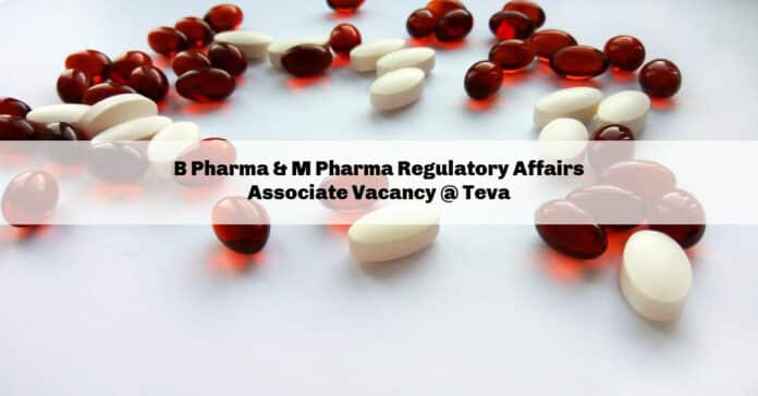 B Pharma & M Pharma Regulatory Affairs Associate Vacancy @ Teva