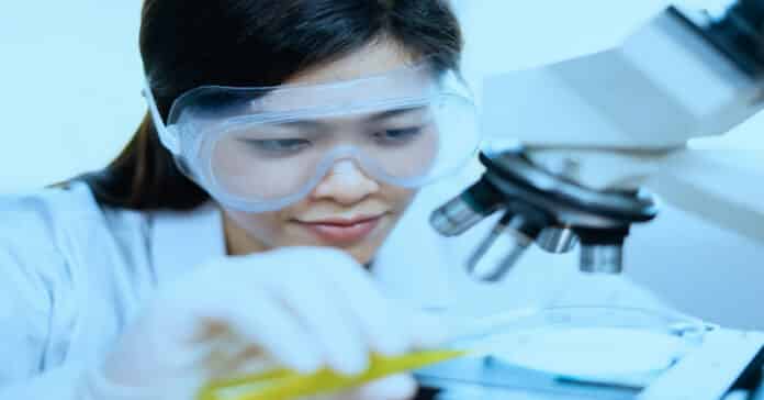 BHU Chemistry Research Fellow Job 2022 - Applications Invited