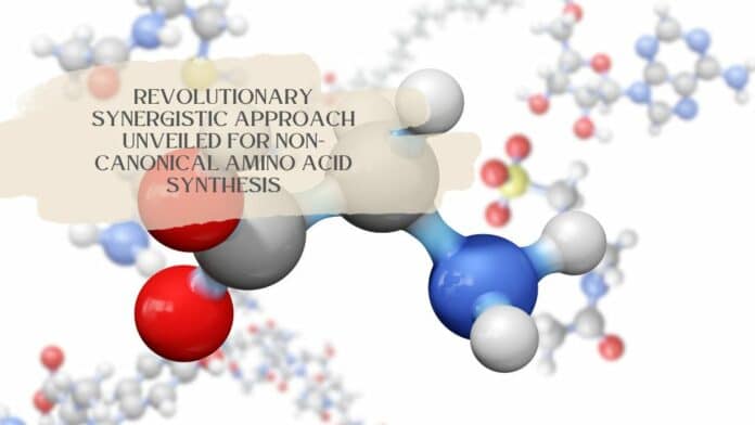 Revolutionary Synergistic Approach Unveiled for Non-Canonical Amino Acid Synthesis