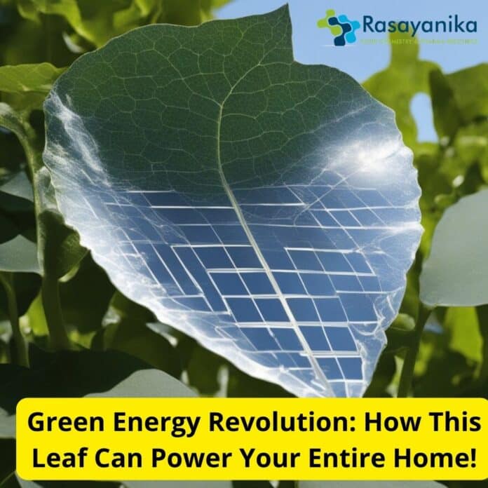 photovoltaic leaf