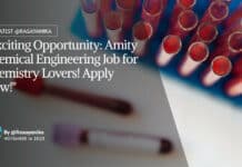 "Exciting Opportunity: Amity Chemical Engineering Job for Chemistry Lovers! Apply Now!"